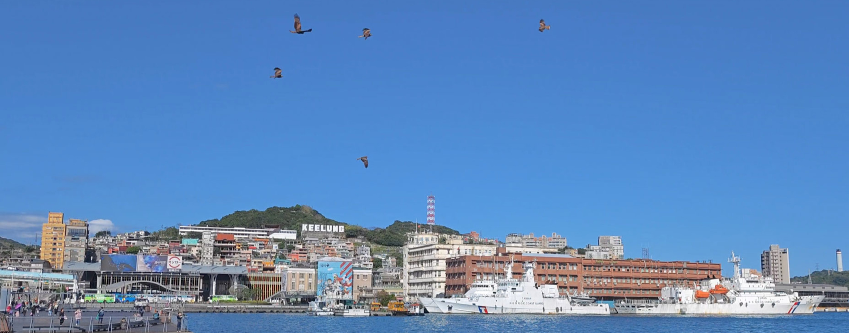 基隆鳥會沈錦豐：讓建設與生態一起成為多贏的做法｜摩天輪與生態環境