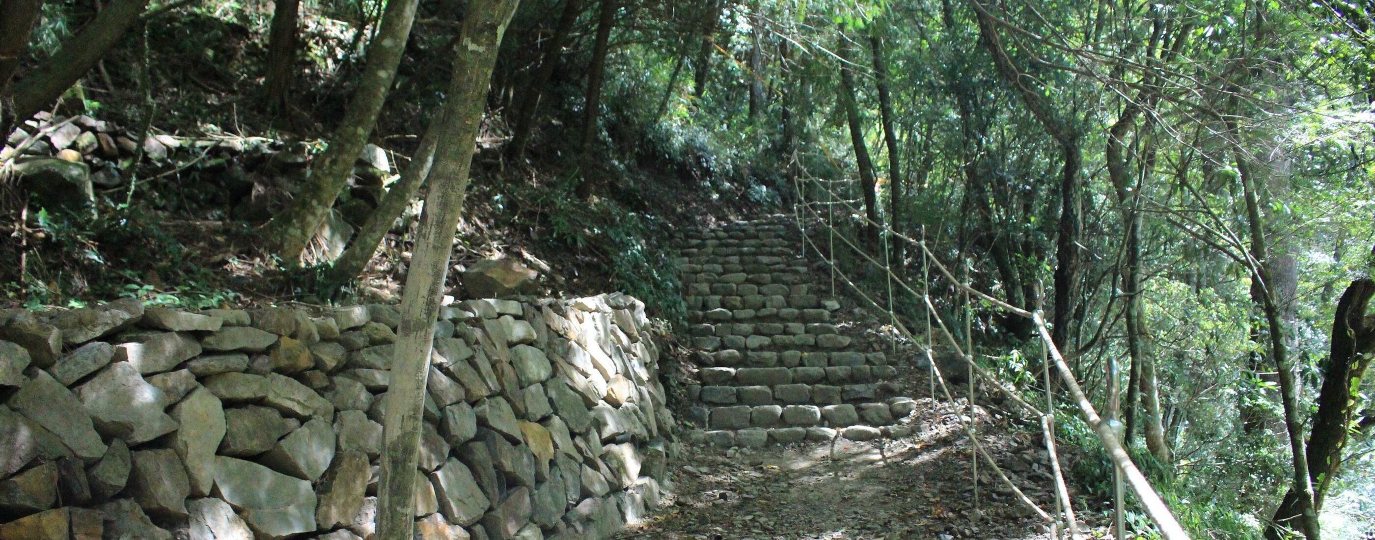 棲地保育全靠細節！生態檢核讓工程更友善｜獵人步道生態篇