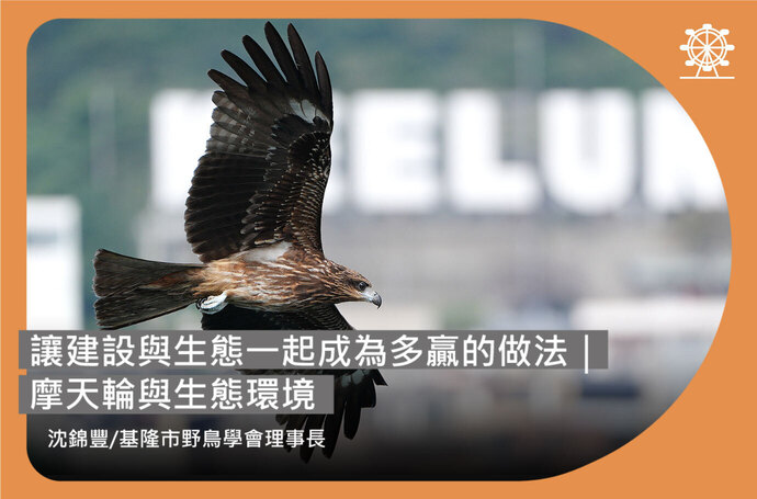 基隆鳥會沈錦豐：讓建設與生態一起成為多贏的做法｜摩天輪與生態環境