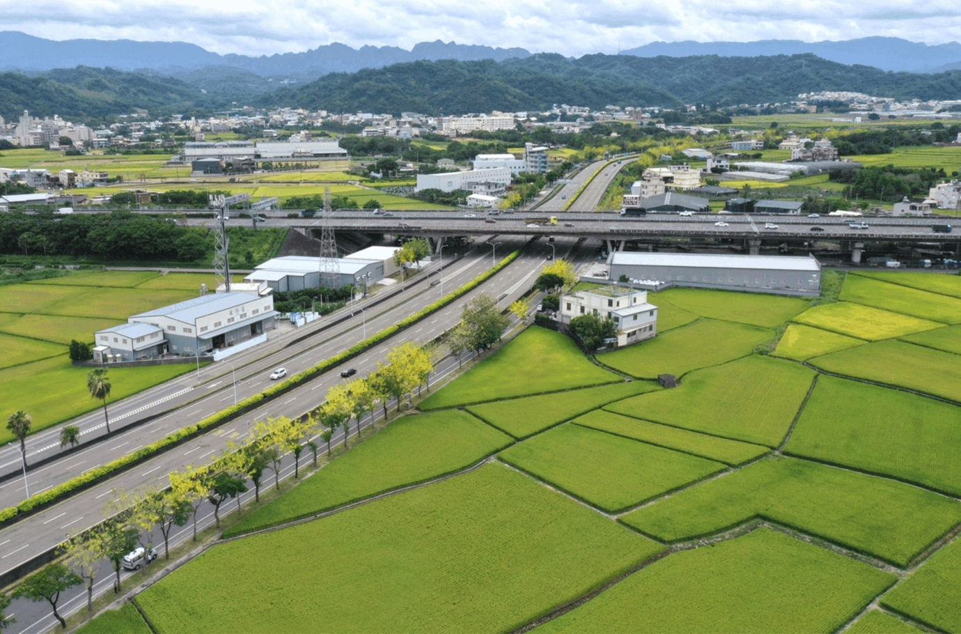 在橋下，長出一座會自己演替的花園─專訪「綠境之路‧淨零之初」團隊 從碳匯監測到群落設計，公路局的畸零地，成了台灣自然式植栽的實驗場