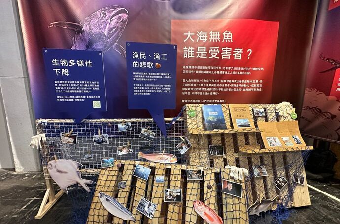 魚類資源嚴重下滑！保護屬於台灣的蔚藍刻不容緩｜世界海洋日