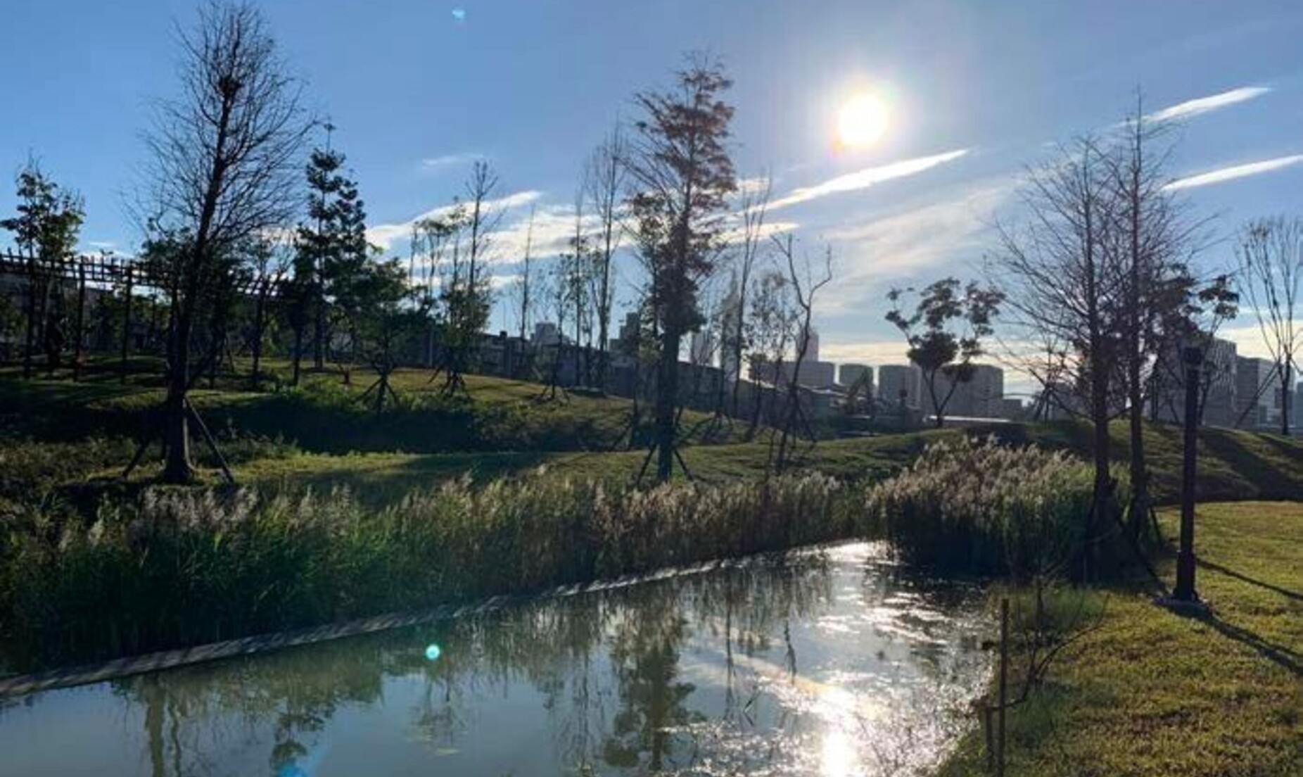 新新公園——應對極端氣候的韌性城市綠地實踐