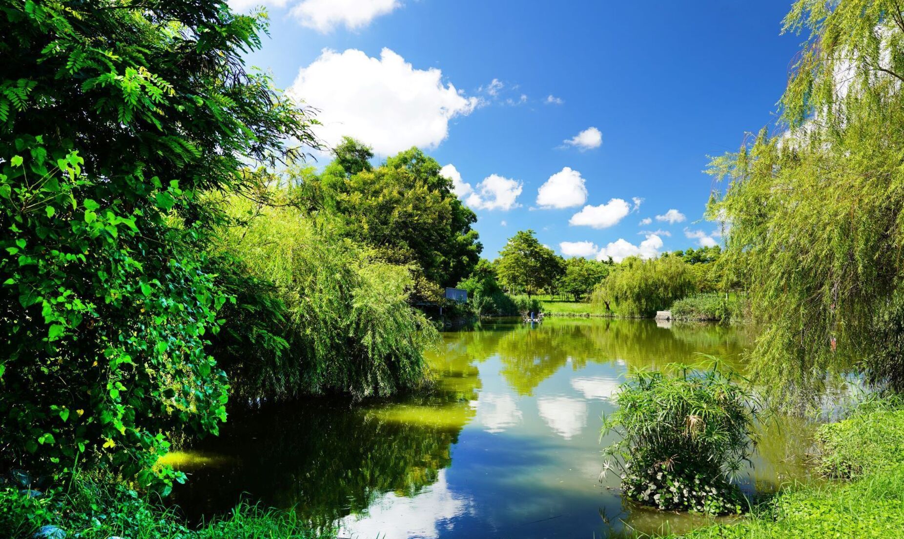 都市公園綠地保水設計理念與實踐
