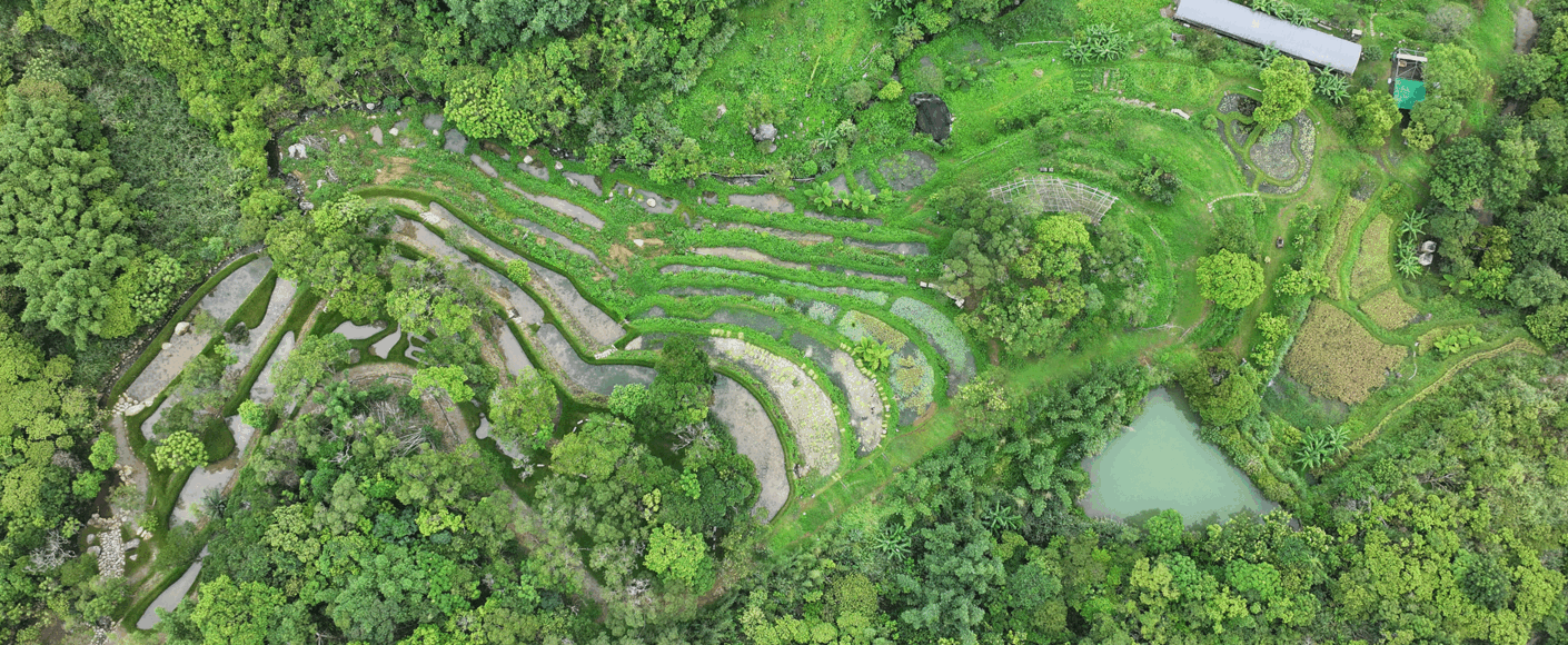 貢寮區雞母嶺水梯田環境改善工程