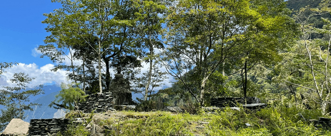 嵵榯之森 — 用時間堆砌的森林之路