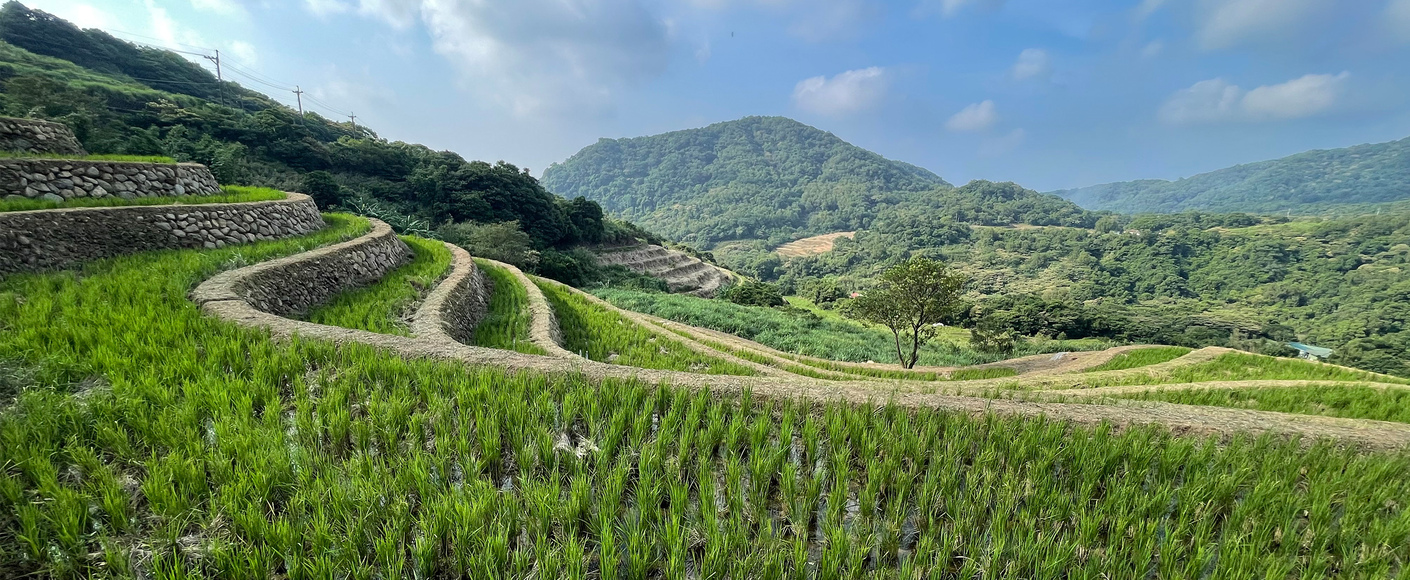 石門區嵩山社區水梯田復育工程