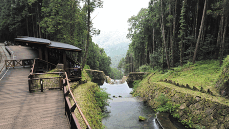 阿里山森林遊樂區神怡橋下方野溪整治工程