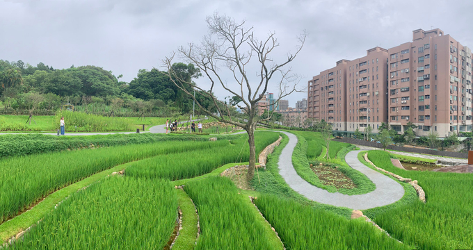 桃園市桃園區大有梯田生態公園新建工程