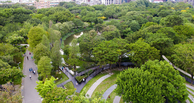 大安森林公園池南水一方—落羽松森林步道