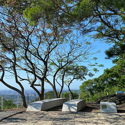 新北市土樹三鶯微笑山線環境營造工程