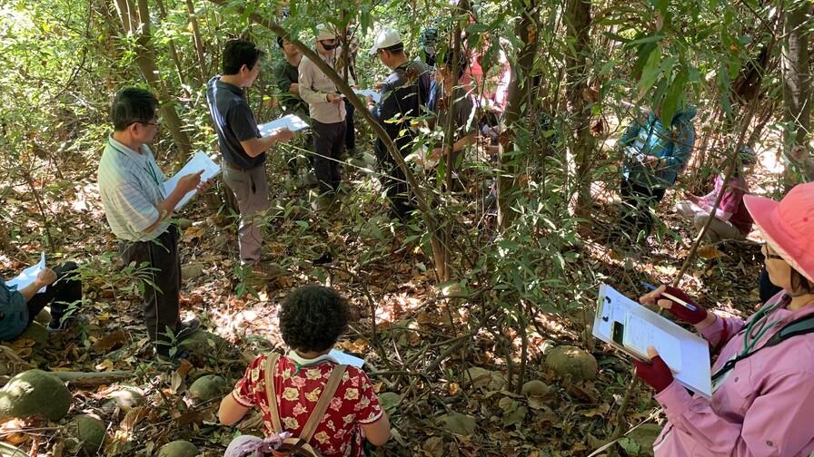 福爾摩沙之大肚山天然復育植樹計畫